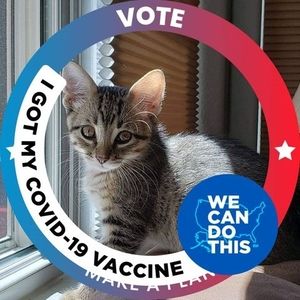 Meet your Posher, Alice